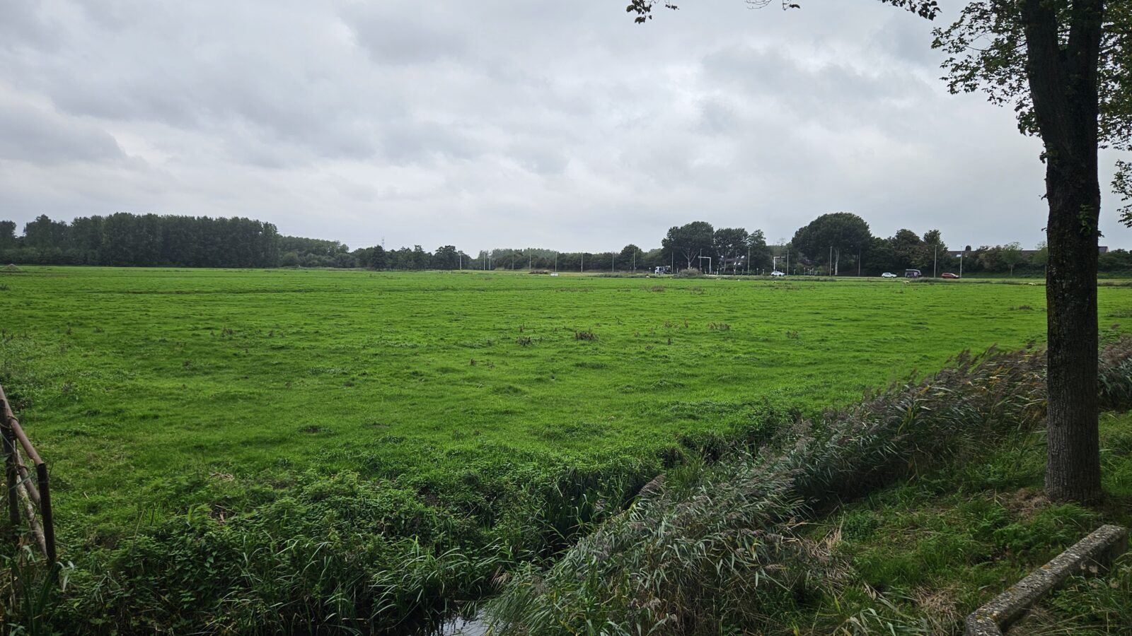Purmer Zuid Zuid