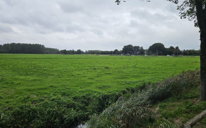 Purmer Zuid Zuid